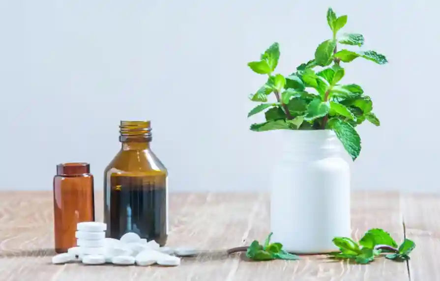 Wie Homöopathie bei alltäglichen Beschwerden unterstützend wirken kann